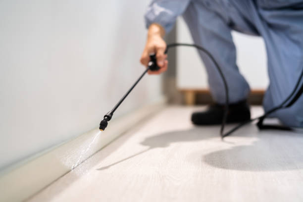 Bed Bug Pre-Treatment Preparation Assessment in Paynesville