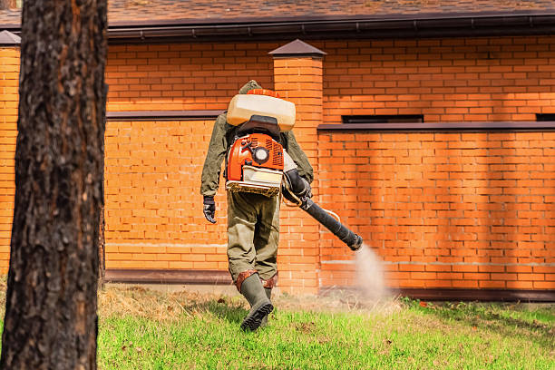 Bed Bug Clearance Verification and Documentation in Paynesville